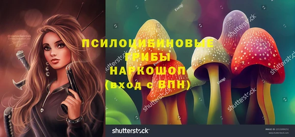 Альфа ПВП Балахна